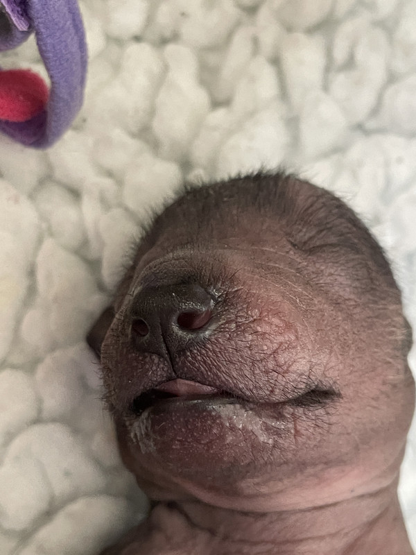 F3172C05-99CA-4392-8A4D-9629B282903E