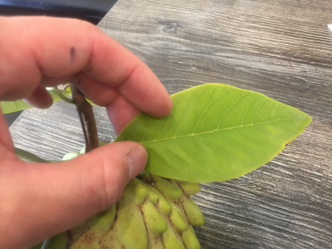 58A66D2E-829A-41A7-891A-9179BB9DAA35