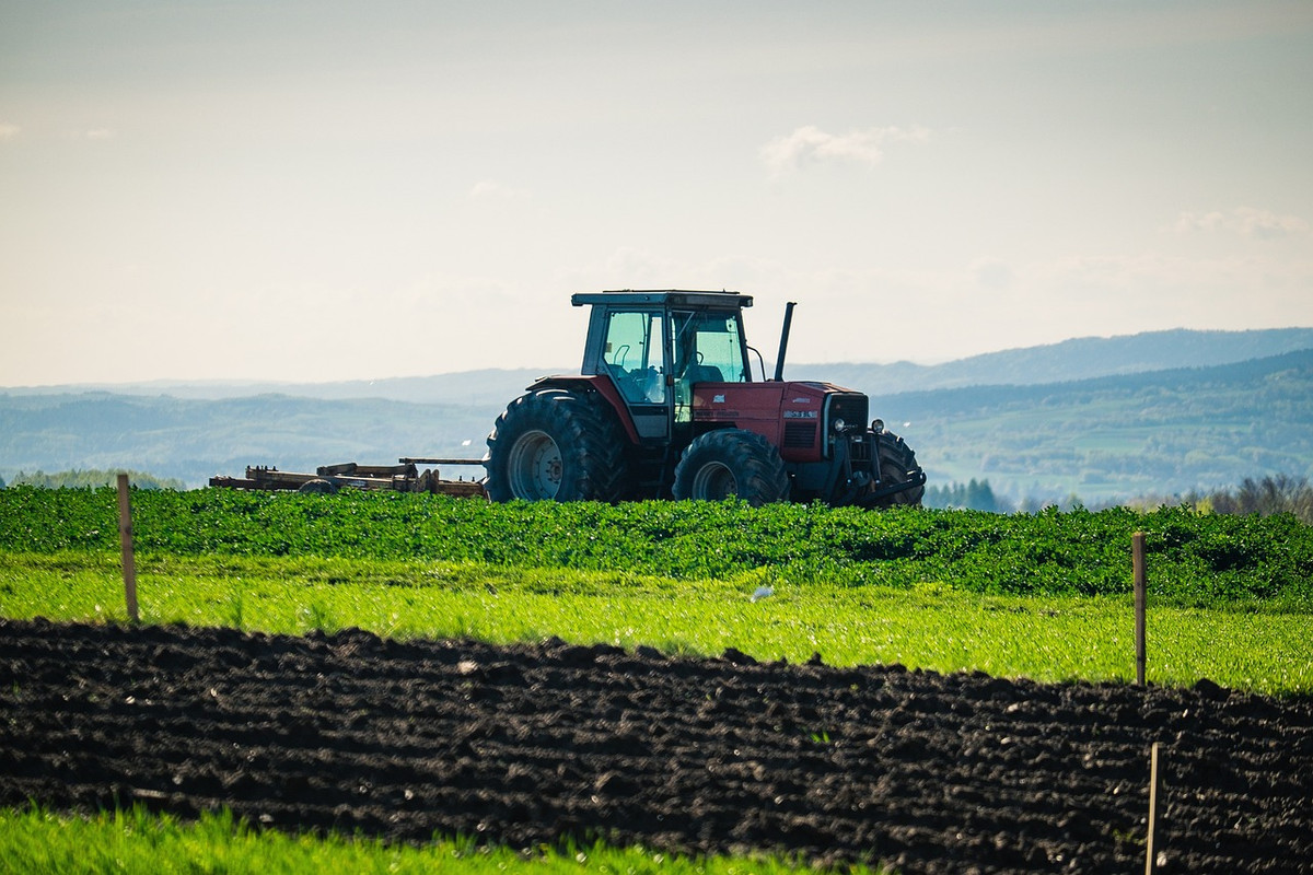 Що потрібно для відкриття власного агробізнесу в Україні 