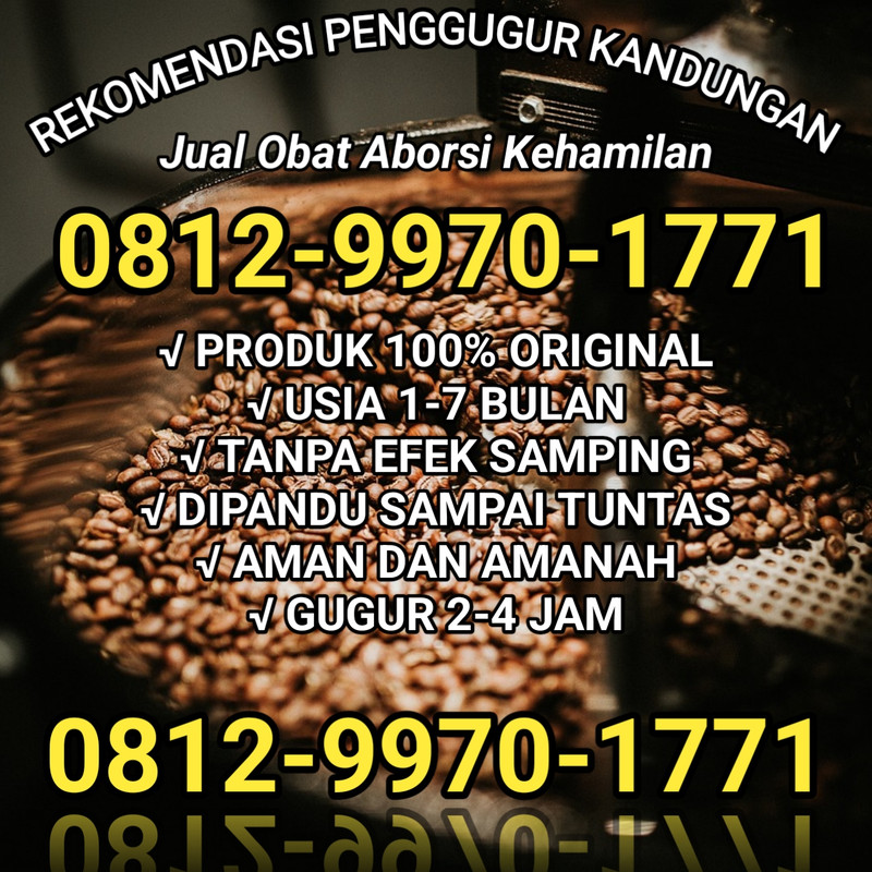 20241222 081720
