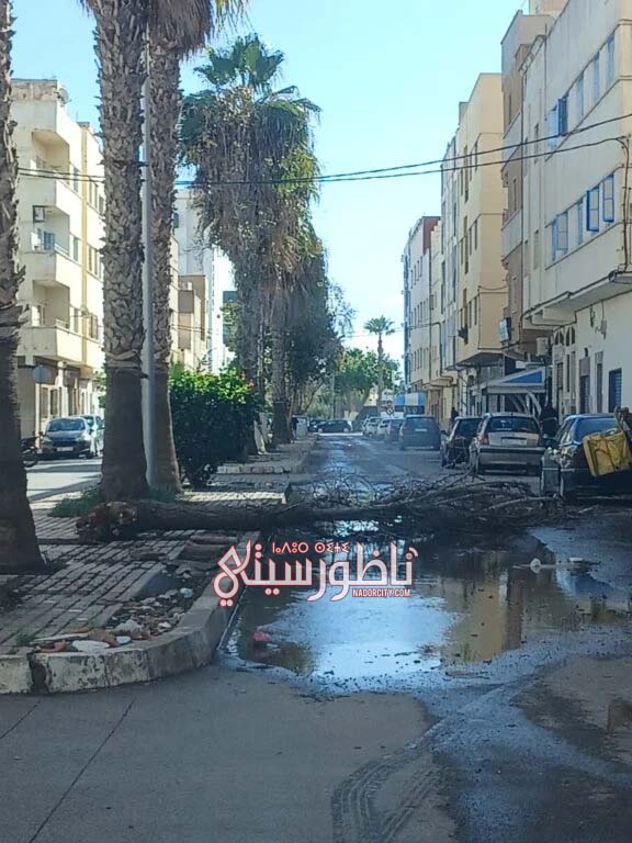 589802869-847423331601877-5345777594901647532-n