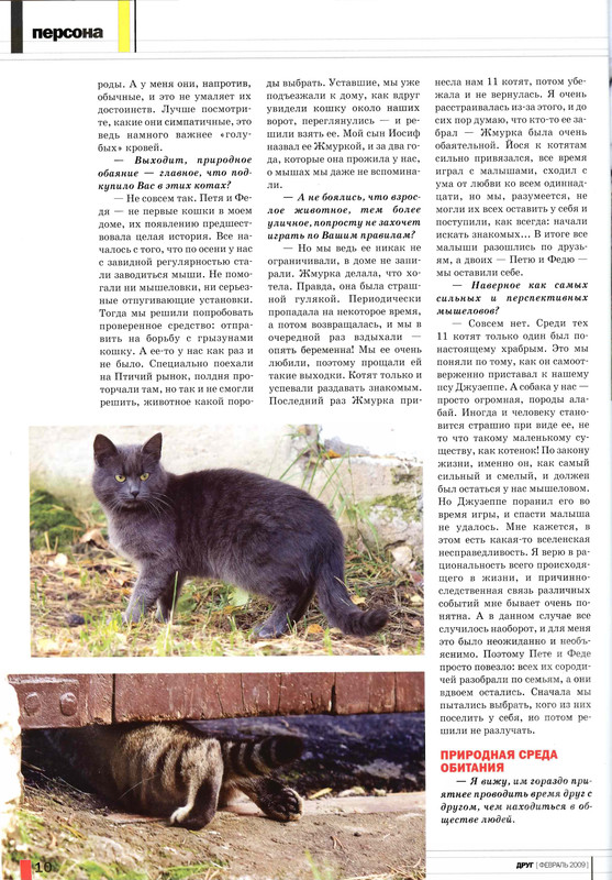 Друг кошек № 2 2009-11