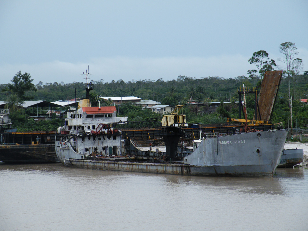 Florida Star I X Fer Baltico @ Georgetown14012010 (2)