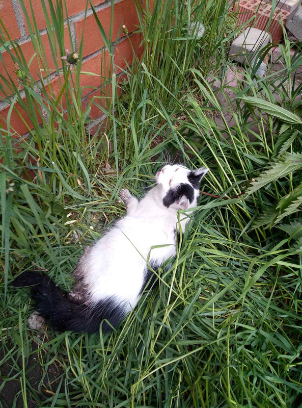 A9CD86C6-B4DF-4192-AAB7-CF3E8600B48E