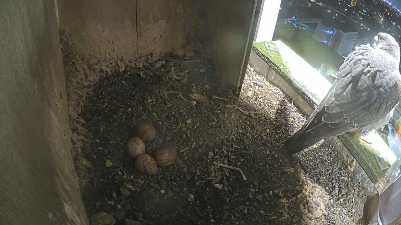 Schermafbeelding 2026 04 04 213201