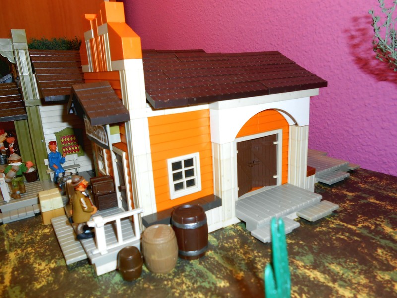DSCN5311