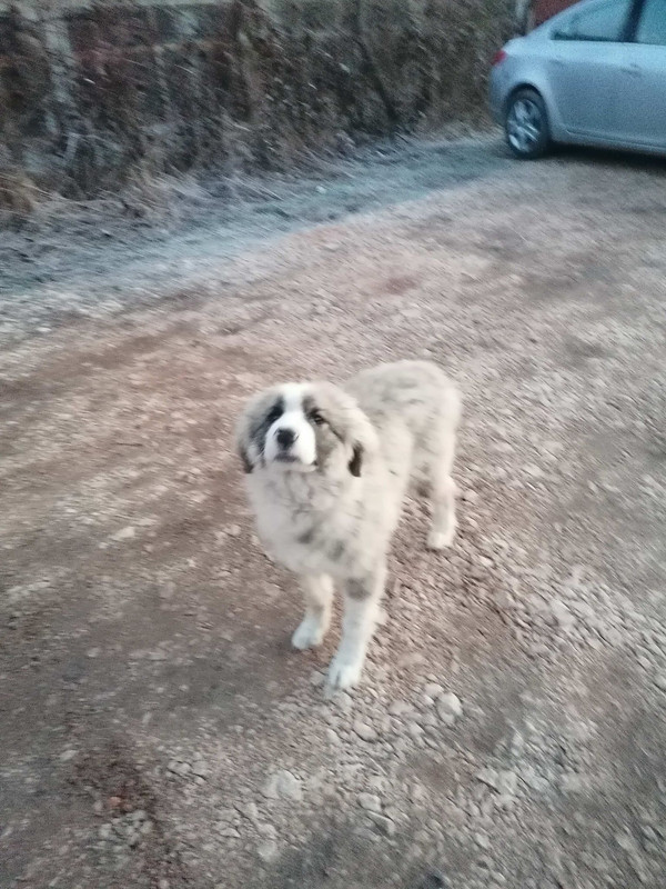 277419347_1117726302128066_1389294305036229611_n