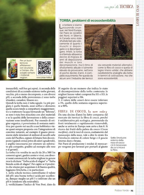 Pol Ver Mar-Apr 2022 (6)