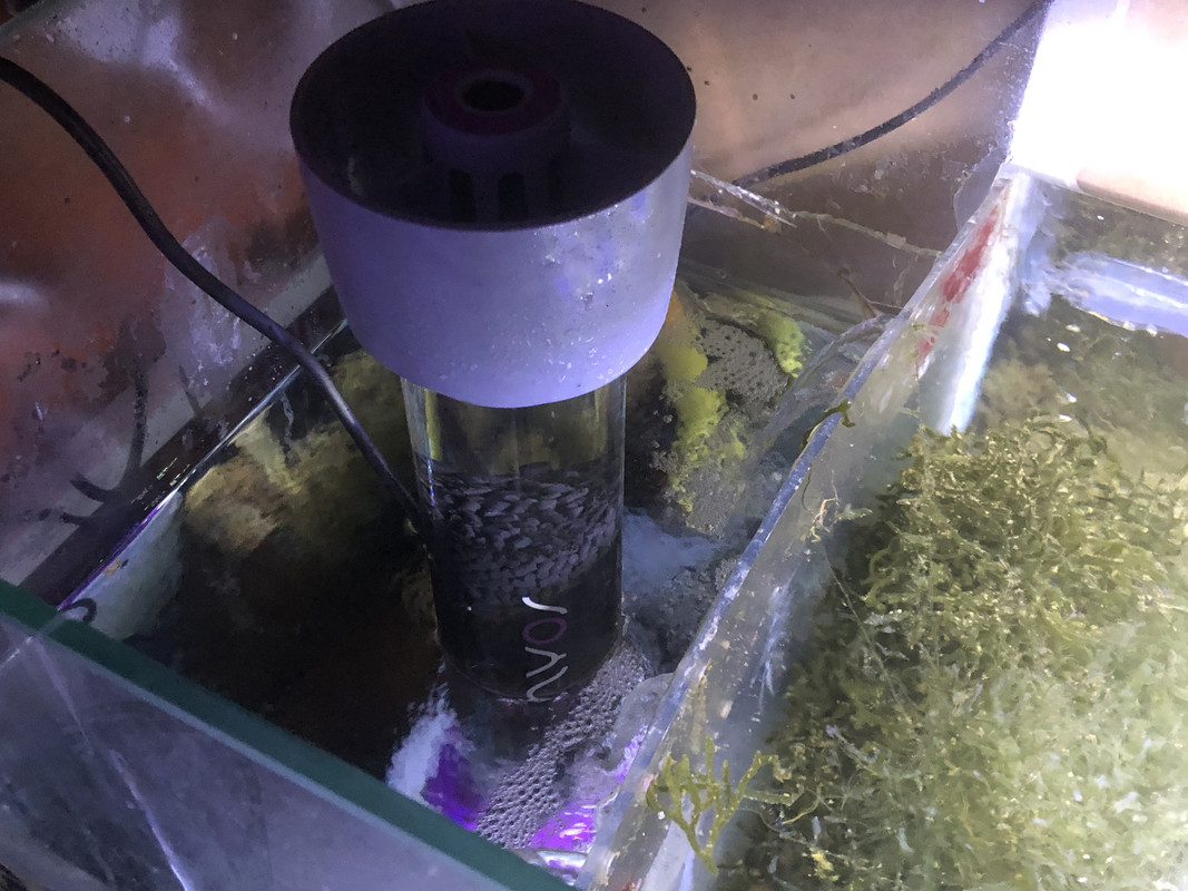 E0A9C7FA-9090-4976-A524-C8D2F7E7923A