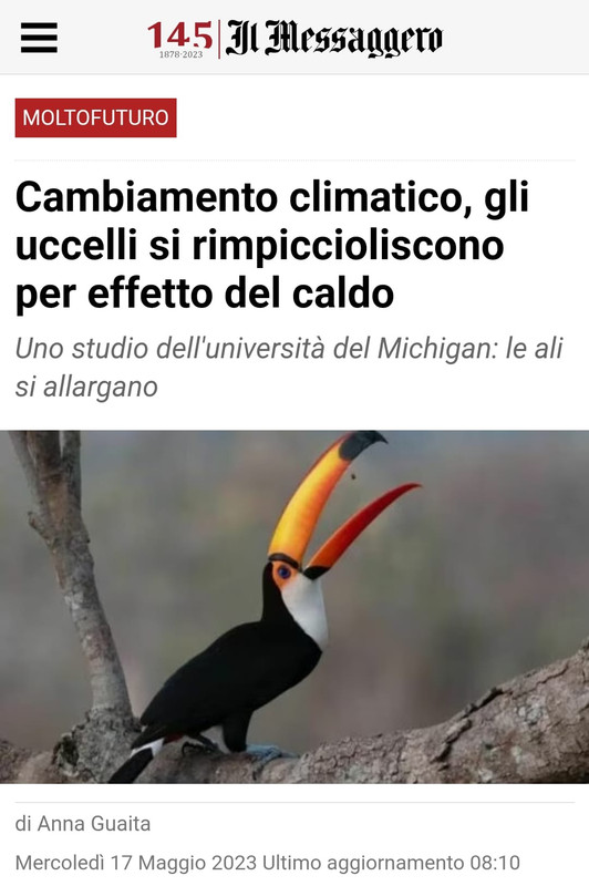uccelli