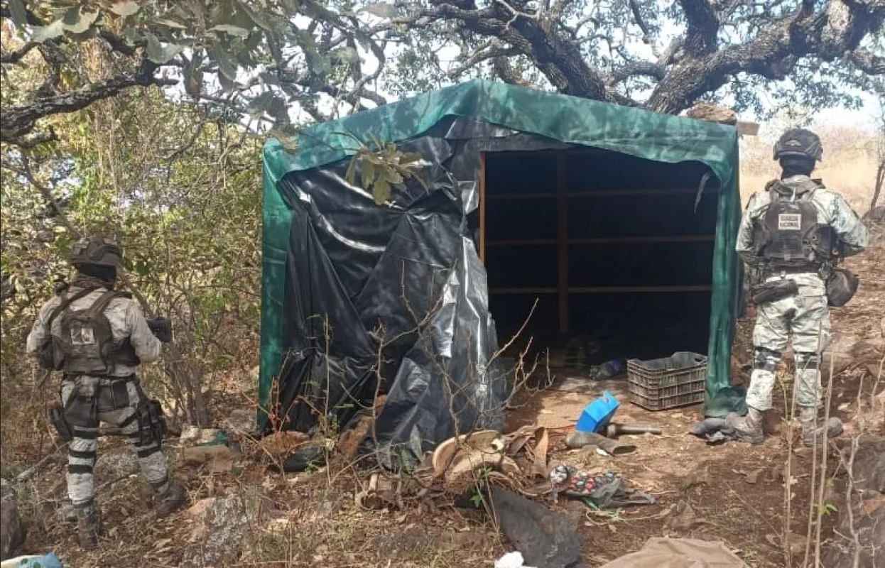 Desmantelan campamento clandestino y aseguran artefactos explosivos en Jalisco
