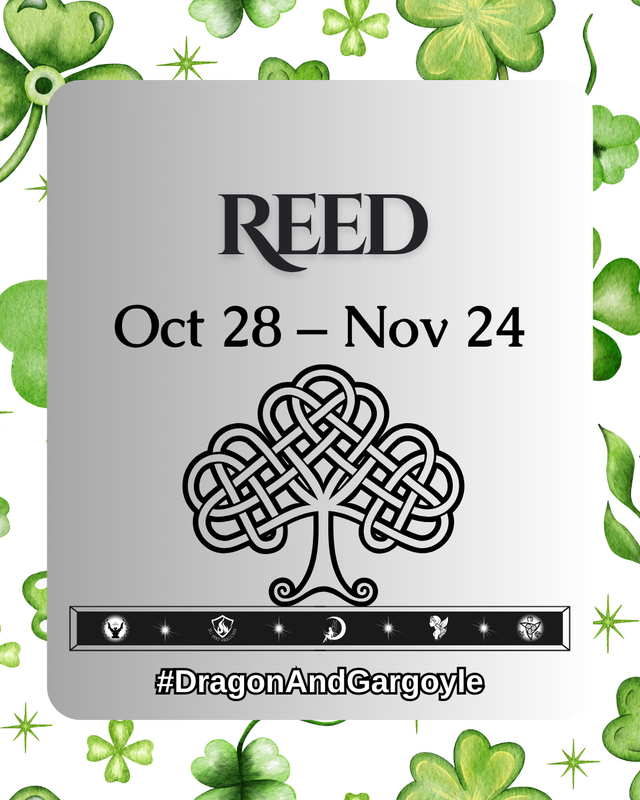 Reed