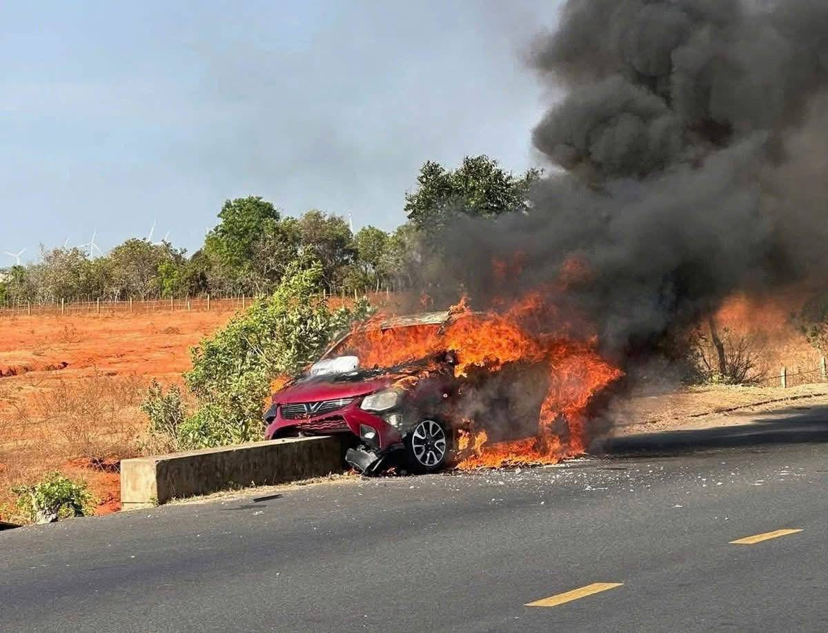 IMG-1067.jpg