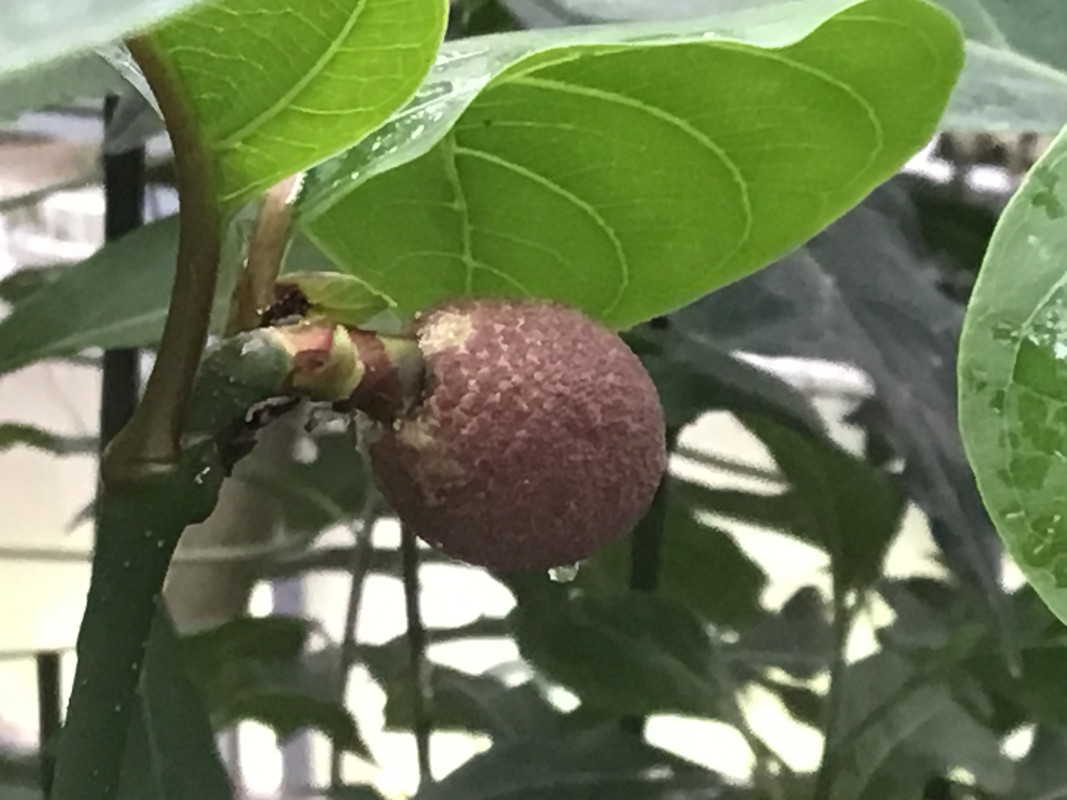 96EA2100-56E1-440C-A8C9-7A28E77A84E2