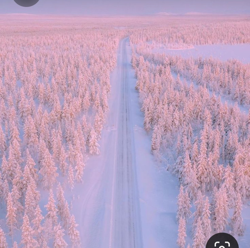 Screenshot_20230331_232348_Pinterest