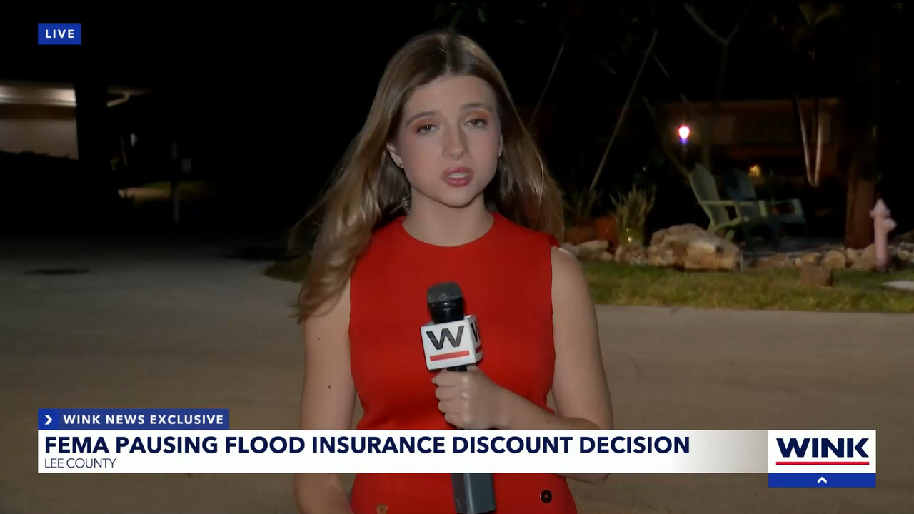 04.09 - 04.00.01 - WINK News at 11  ᴺᵉʷ. Local and regional news..ts_snapshot_07.06.685