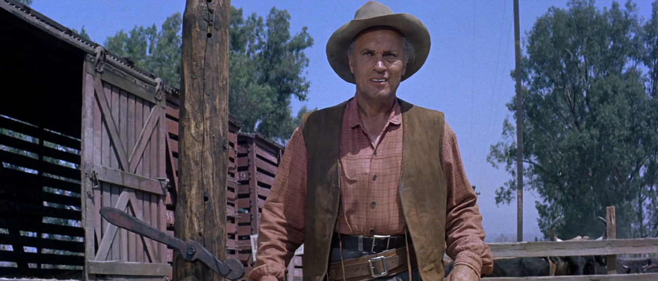 vlcsnap-2022-11-19-15h46m59s154