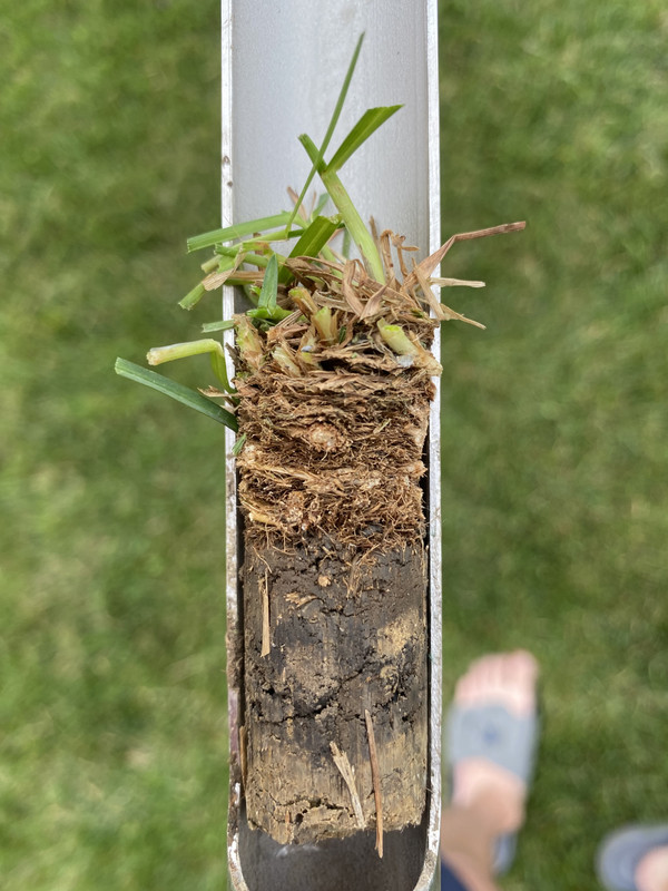 ABE05A80-F3E9-42C3-80FC-AD26740BB178