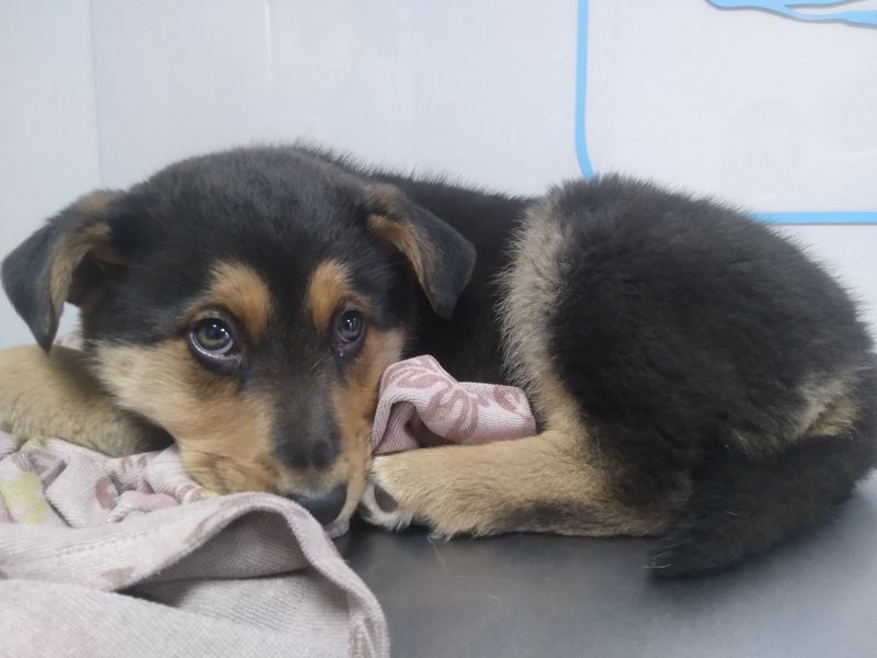 изображение_viber_2022-12-10_22-37-07-561