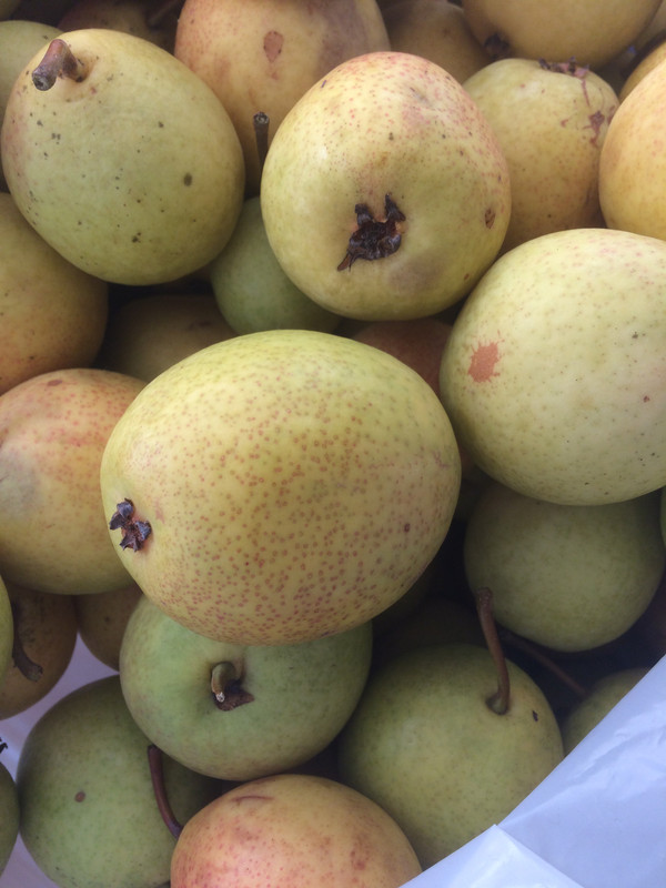 95ECBB06-2B5B-4391-97E2-2F5181E09103