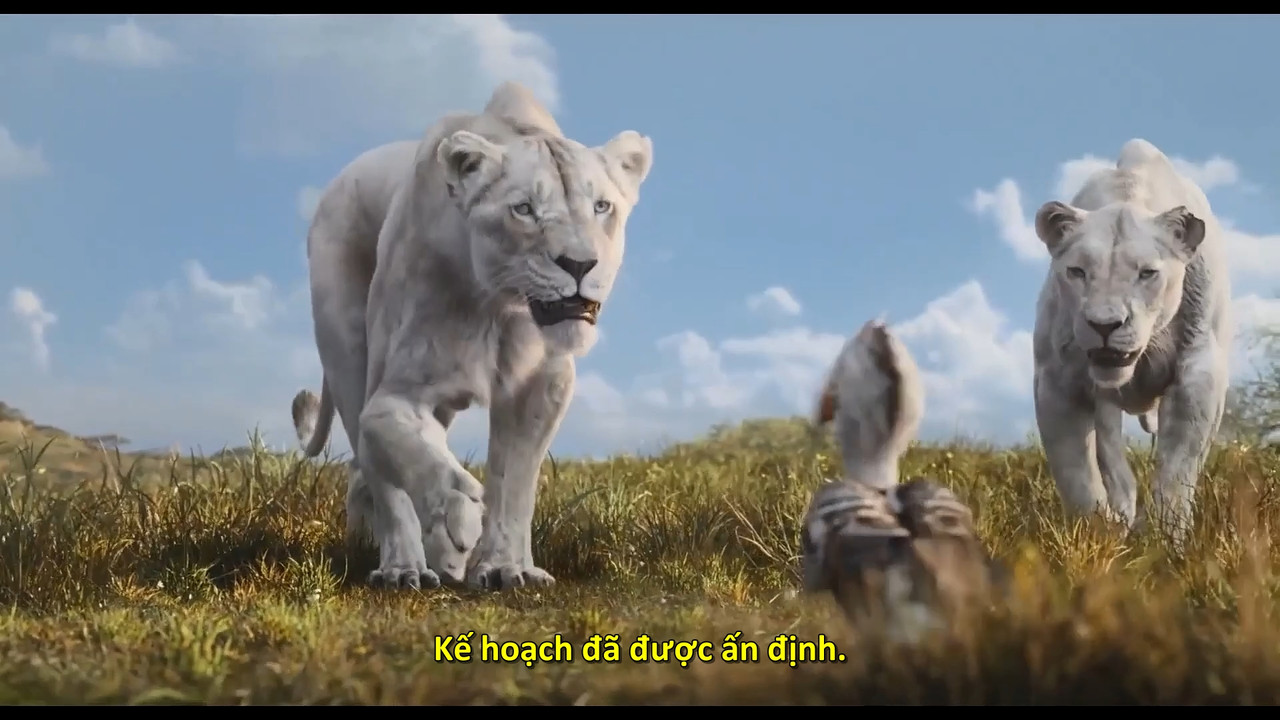 (Vietsub) Mufasa The Lion King 2024 1080p WEB x264 PCM 2.0.mkv_snapshot_01.36.10.264