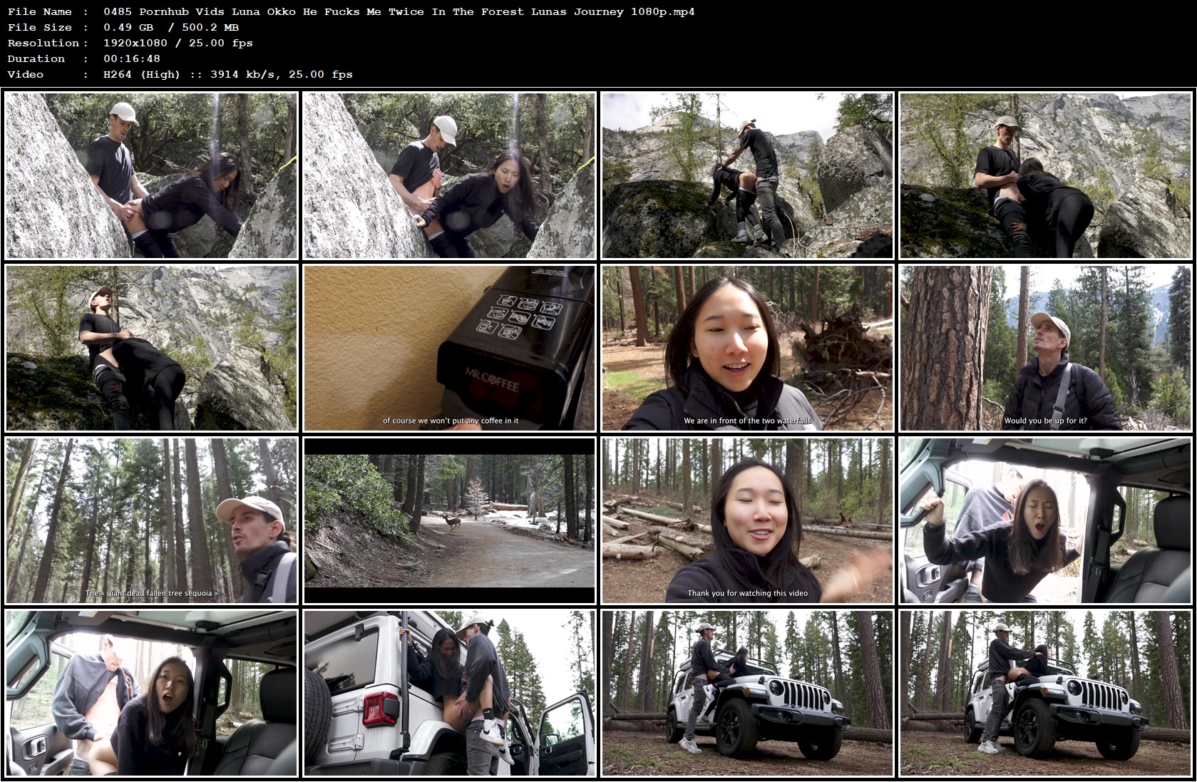 Pornhub - Deleted Profile & Popular Actresses