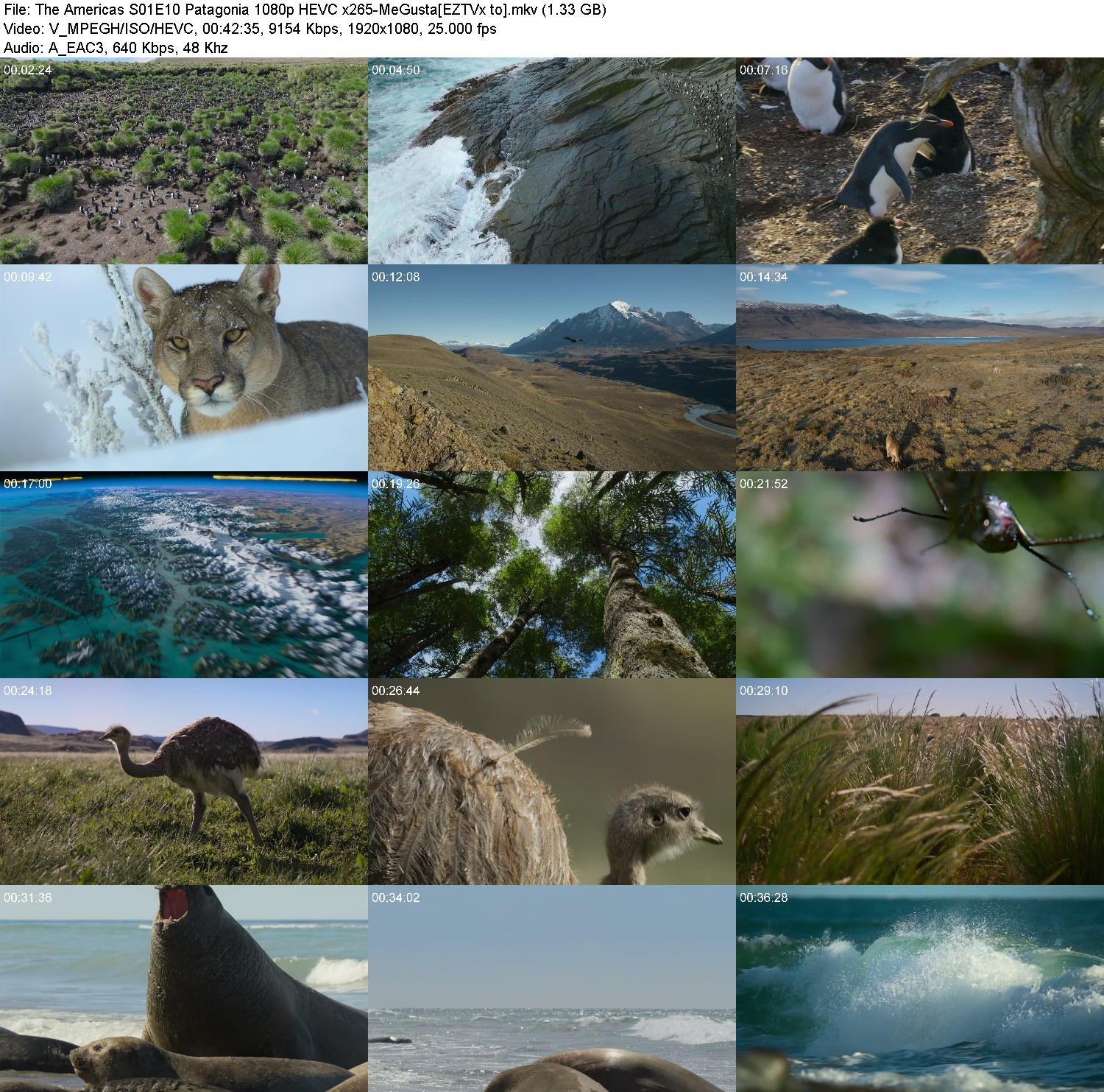 [Image: uid41xzls17h.jpg]