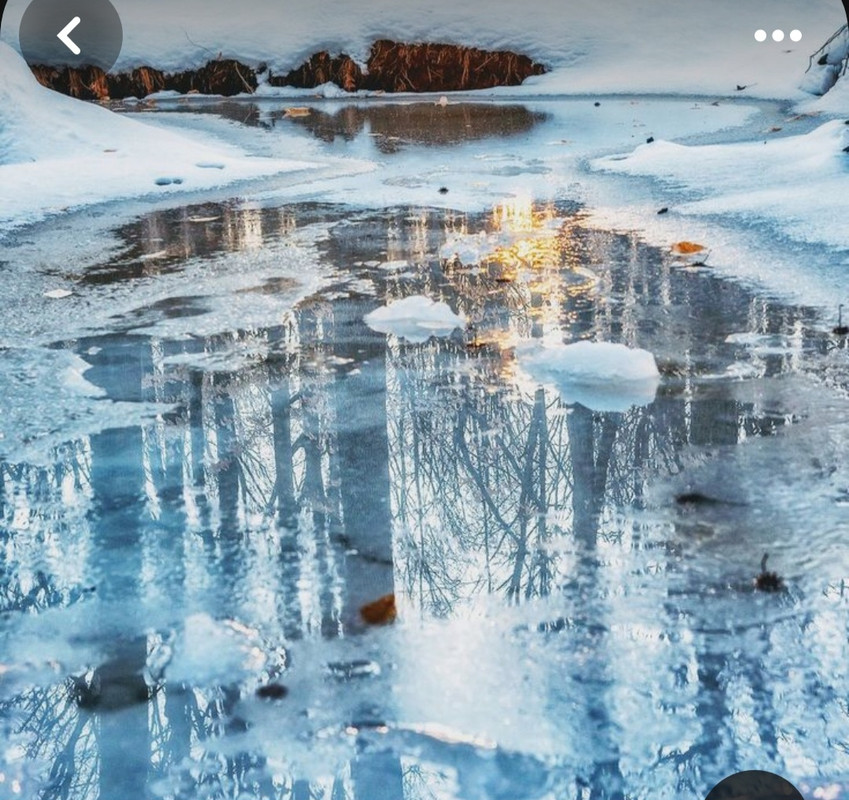 Screenshot_20231212_132047_Pinterest