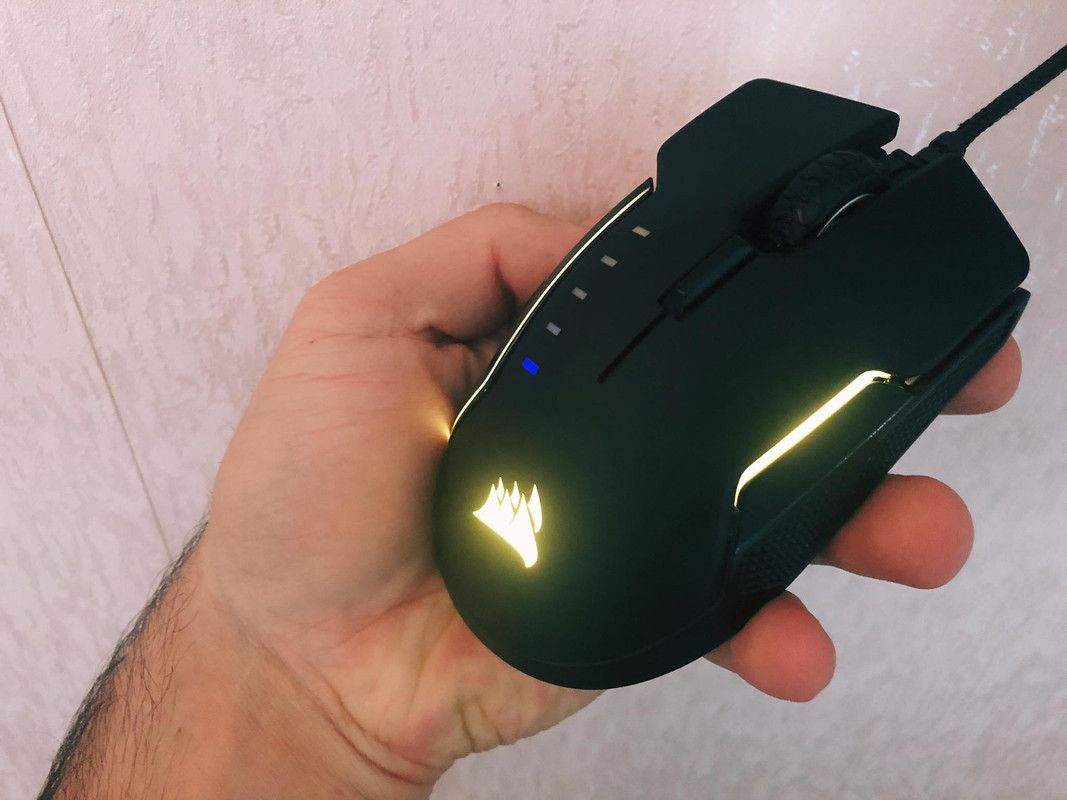 80445904-569412607236748-203321886488343