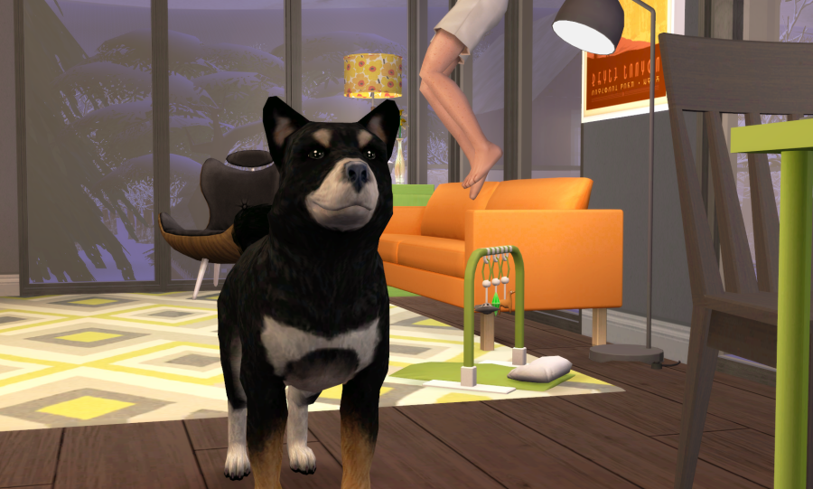 Sims2-EP9-RPC-2021-05-23-22-39-47-92