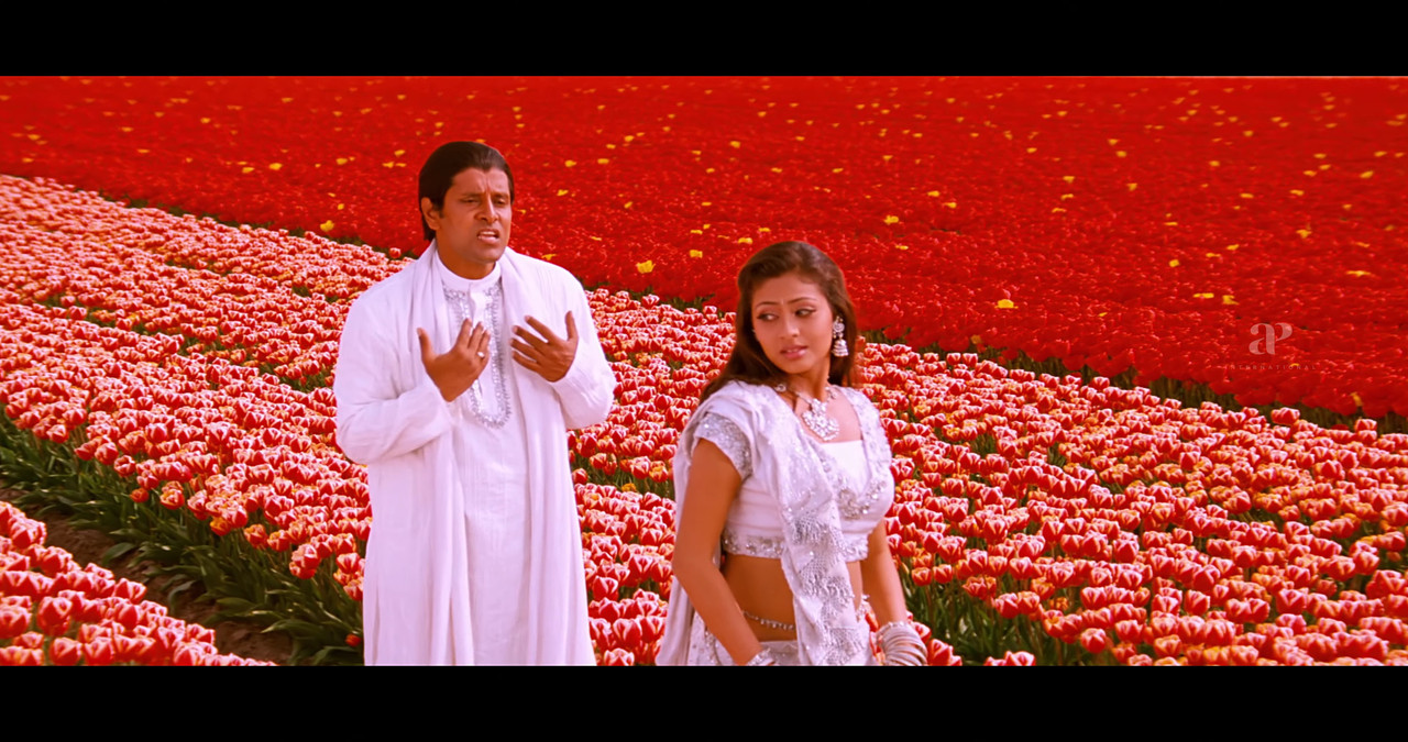 VideoCapture_20241122-195038