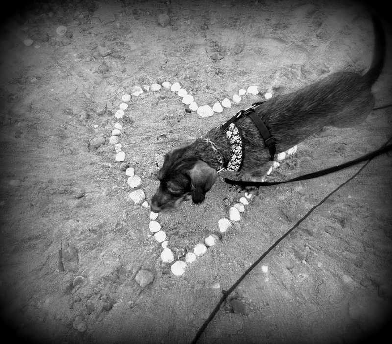 [Image: IMG-2105.jpg]