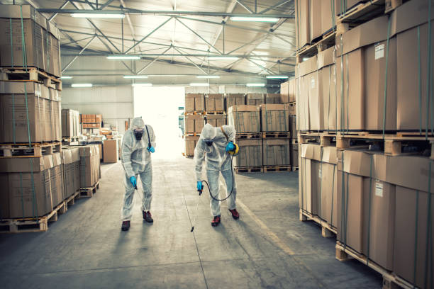Property before pest treatment