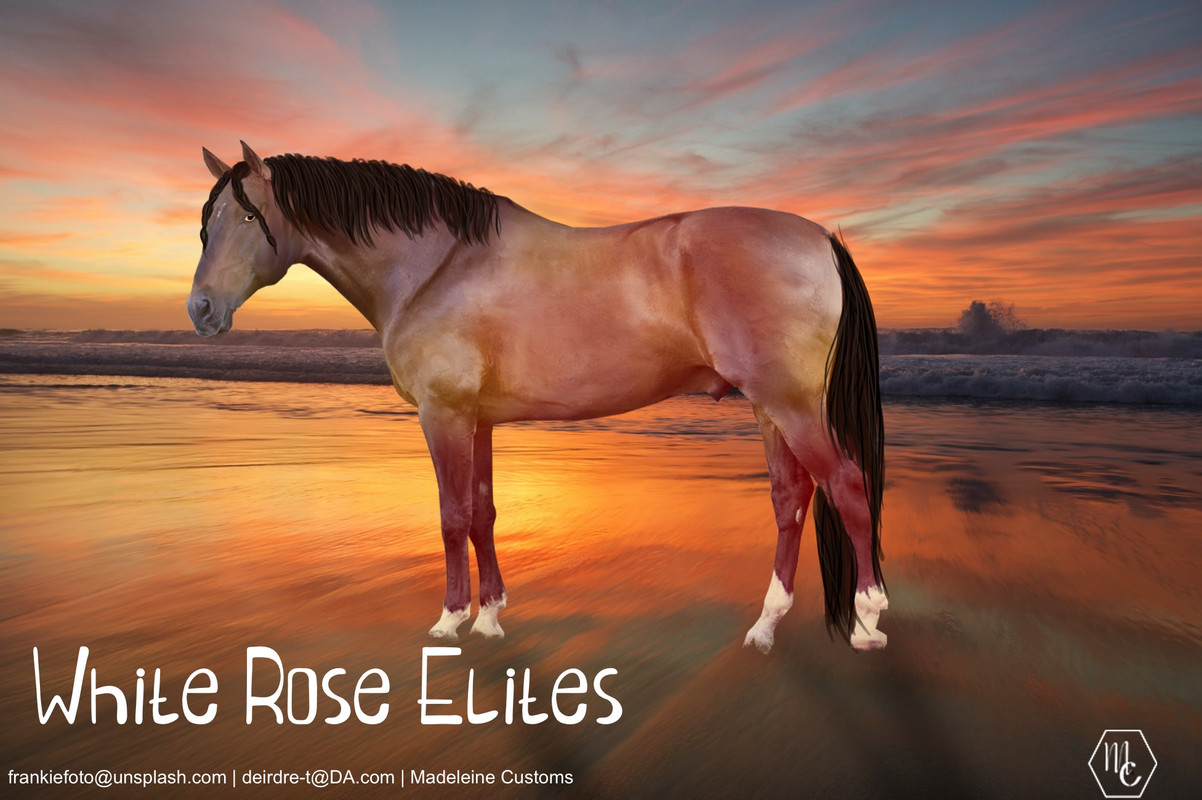 604EF037-7054-4F67-985E-81AE07425CBC