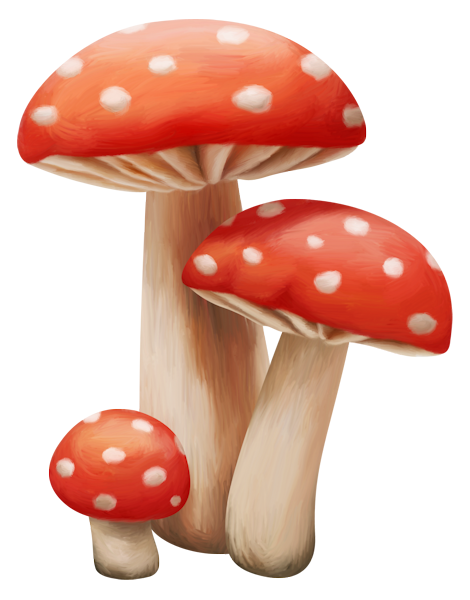 143790032_LMB_Fall_Bounty_Element_15