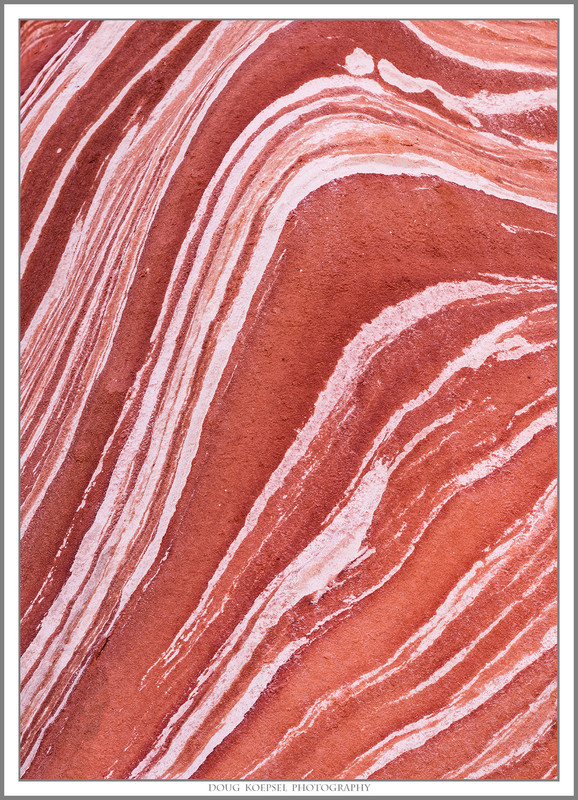 Ed1600WardTerra 4-9-18_0618