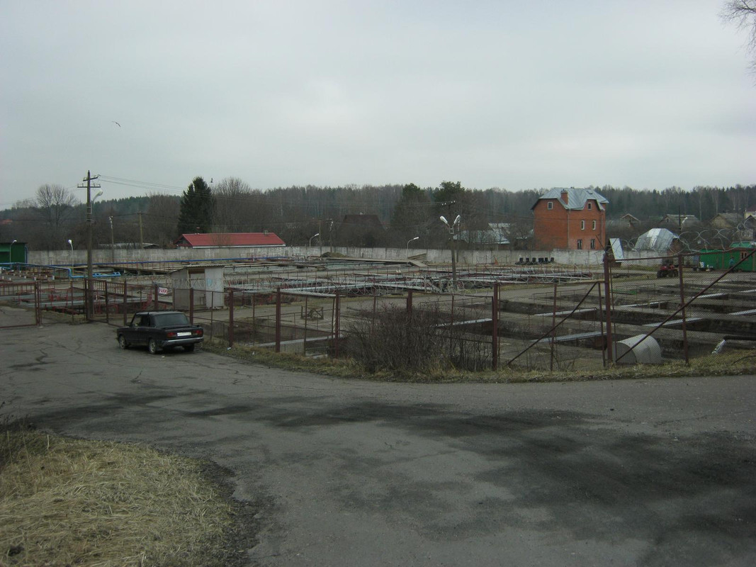 весна, Ропша