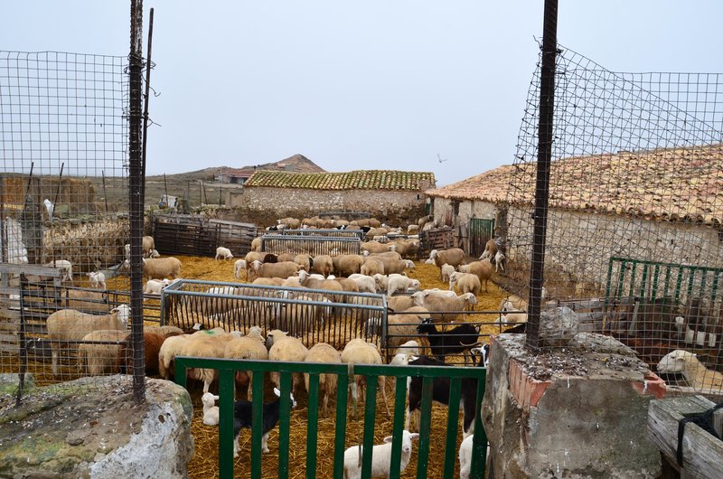 Navarra y sus pueblos-2015 - Blogs de España - Las Bárdenas Reales-15-11-2015 (35)