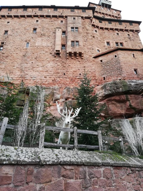 Puente de la Inmaculada 2022 en Alsacia - Blogs de Francia - ALSACIA EN NAVIDAD VISITANDO EL CASTILLO DE ALSACIA, COLMAR Y ESTRASBURGO. (2)