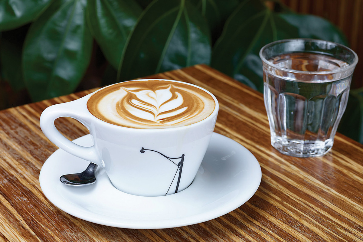 The Essentials Of Creating The Perfect Cup Of Coffee The Essentials Of Creating The Perfect Cup Of Coffee