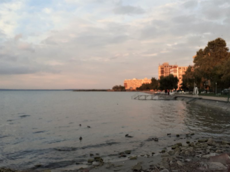Slika