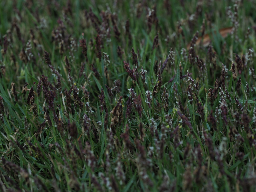 4FD77AA8-52A0-4BAA-85E4-A7F80F637168