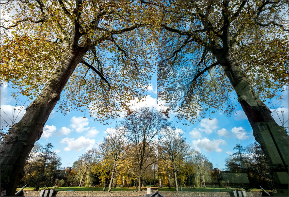 X-T2 DSCF9115 2017 BOT Strünkede LR ERWZ FB