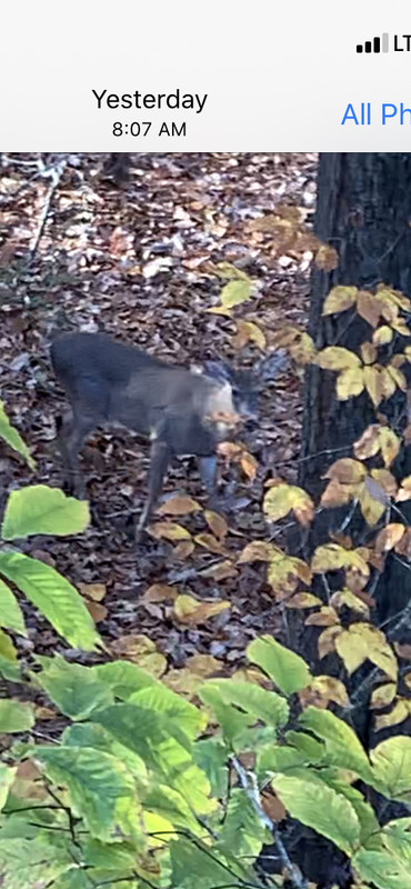 0DF4B3D9-78F7-4710-B9F7-C77AA415AF72