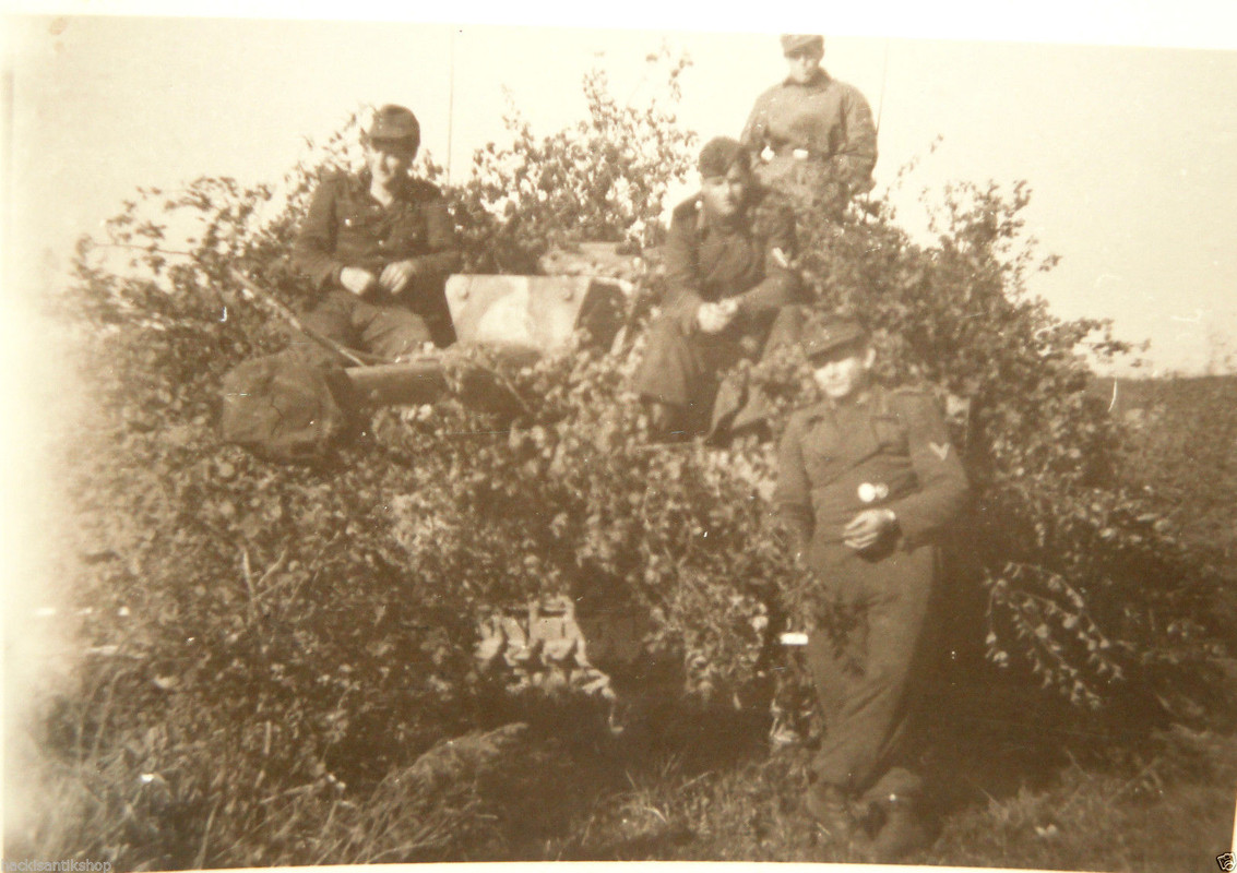 Sturmgeschütz 40 Ausführung G Tarnung STUG in Un