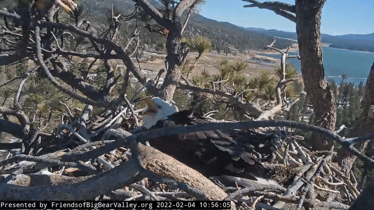 Webp.net-gifmaker (6)