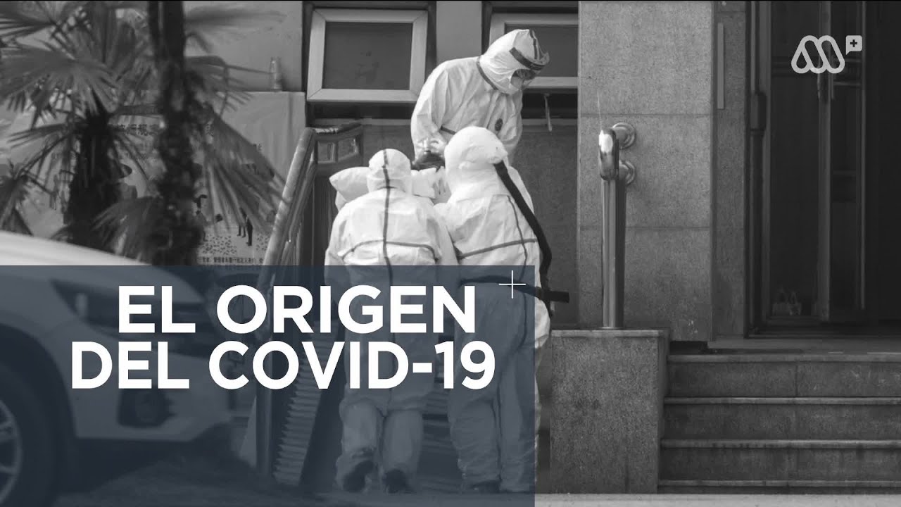 maxresdefault - Coronavirus: El origen HD Español 720p (2020)