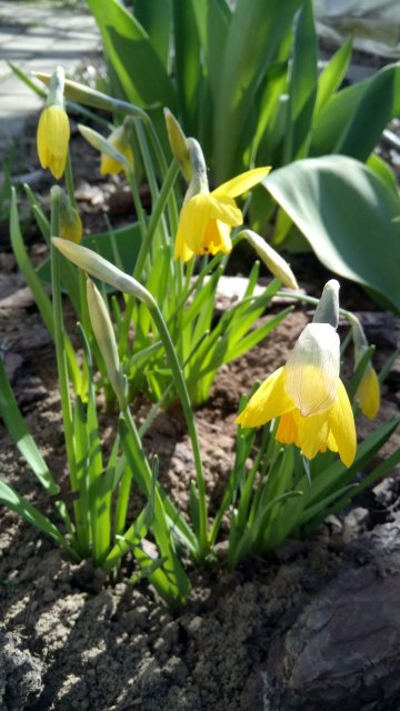 IMG_20200320_225534_707