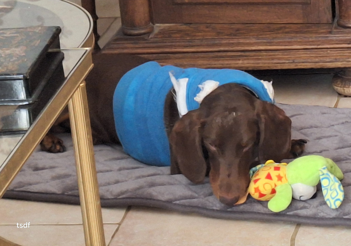 [Image: 20250918-115645.jpg]