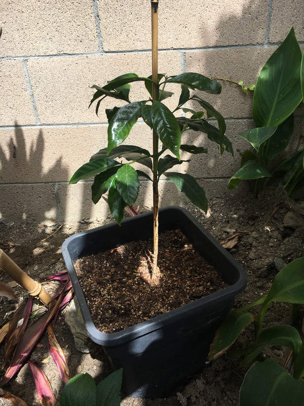 CC958C0A-6540-47E8-BE2E-B4AB0FAC5532